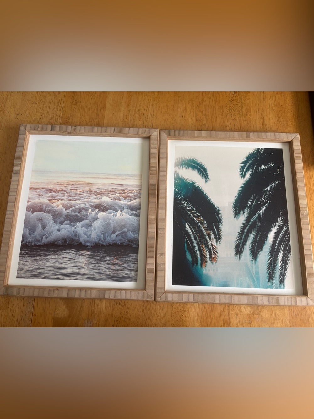 Coastal Palm Beach Wall Art Set in Teal and Sand Deny design